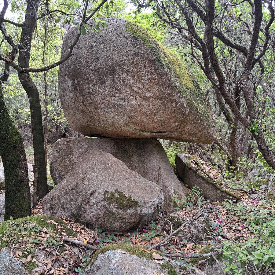Große Steine im Wald, die aufeinander ruhen und sich gegenseitig tragen